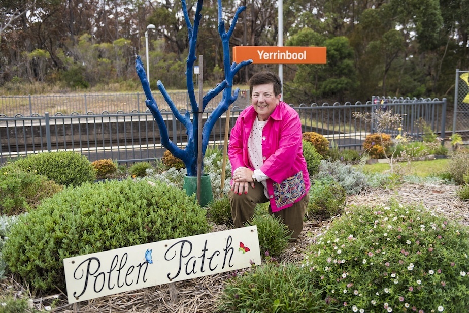 Highlands Hero // Maryann Anderson